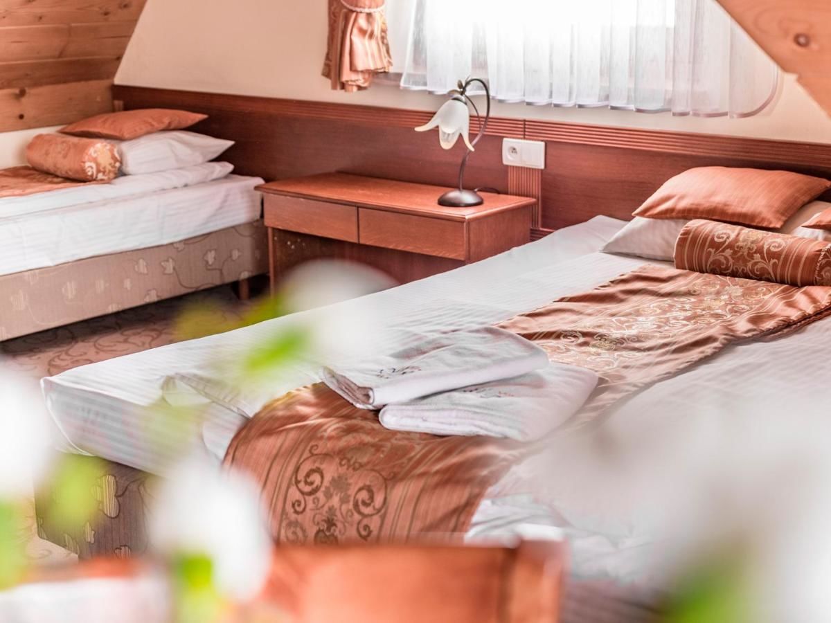 Отели типа «постель и завтрак» Villa Magnat Бялка-Татшаньска